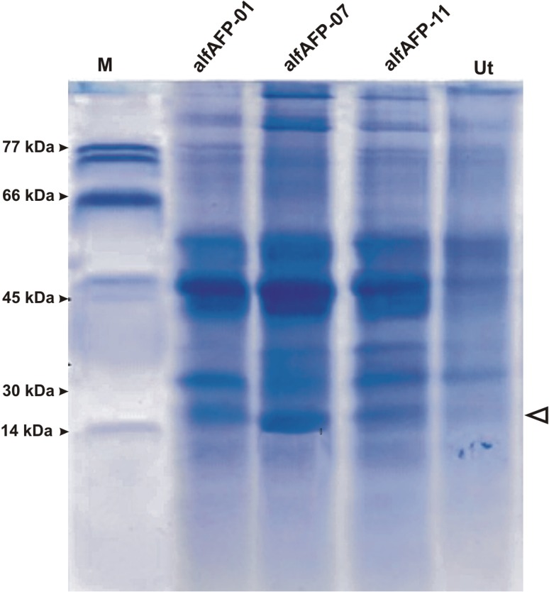 Fig. 3