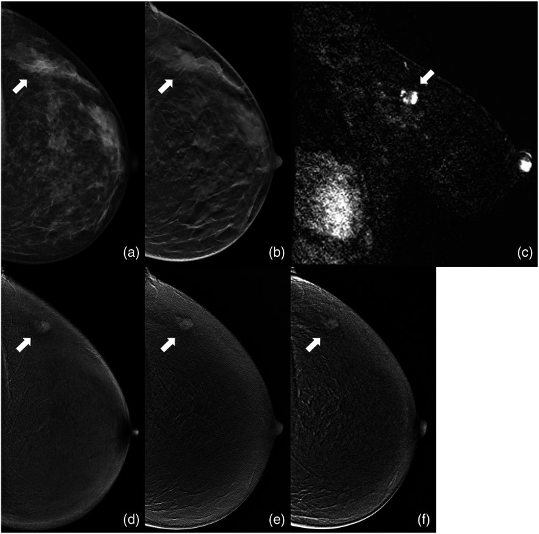 Fig. 8