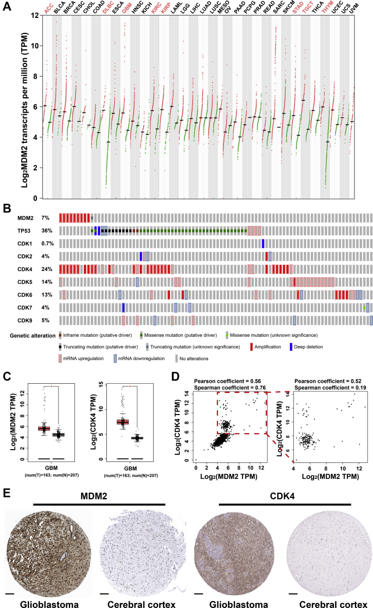 Figure 1