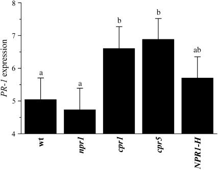 Figure 4.—