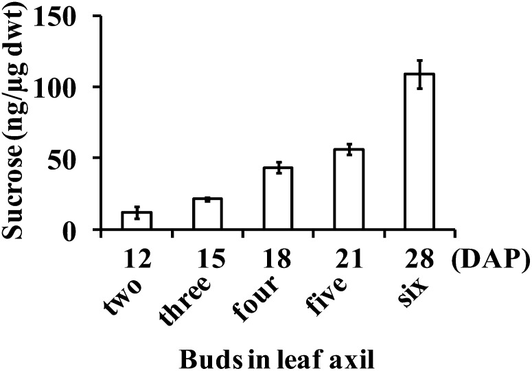 Figure 7.