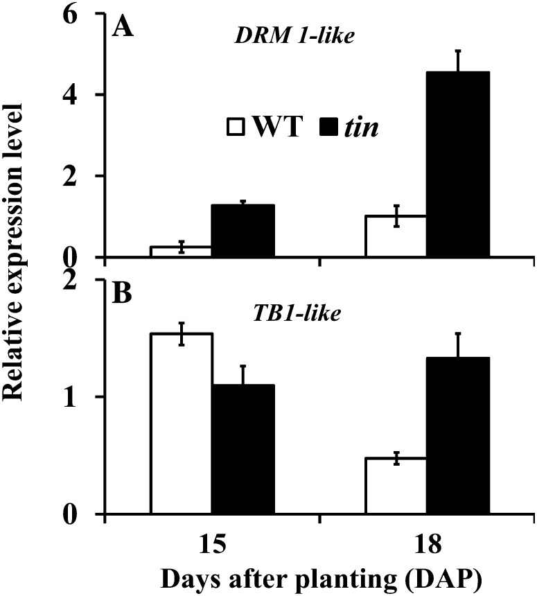 Figure 9.