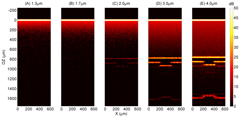 Fig. 10