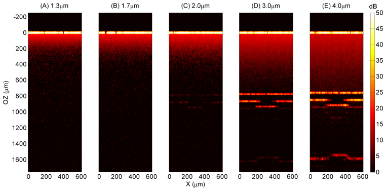 Fig. 11