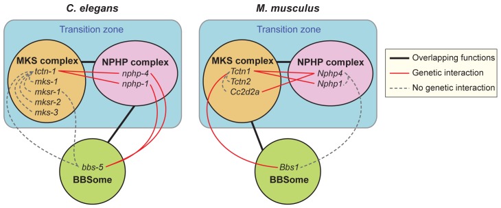 Fig 10