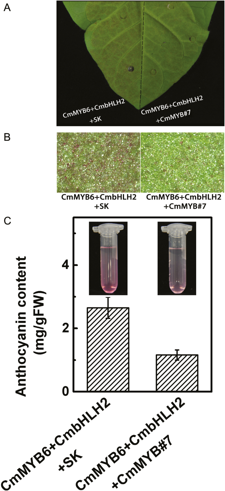 Fig. 7.