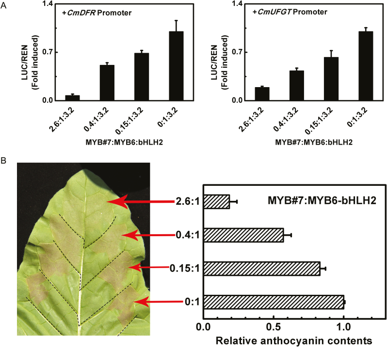 Fig. 8.