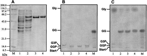 FIG. 5