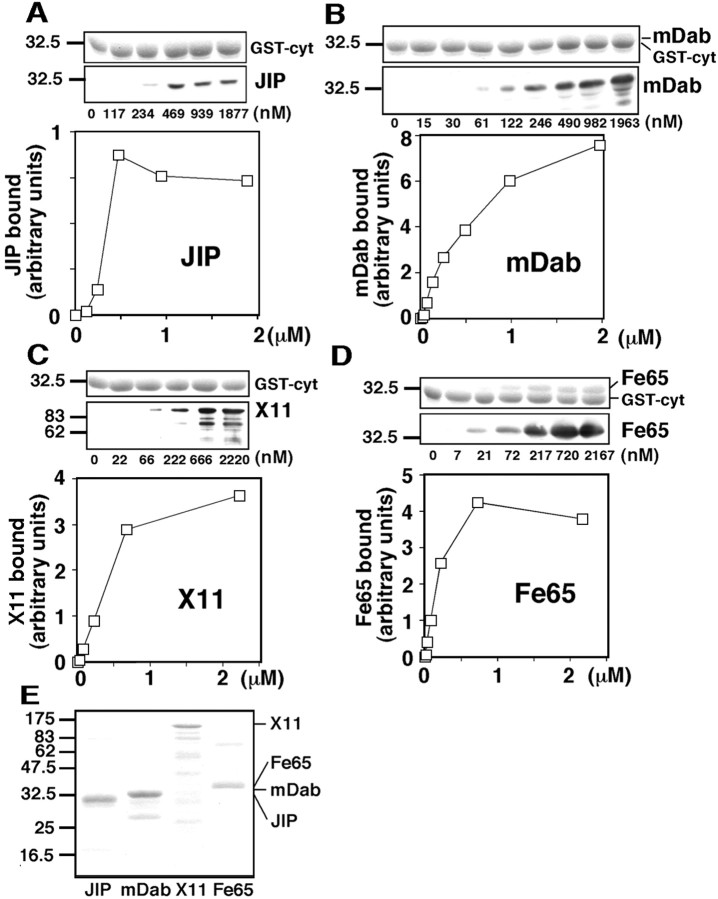 Fig. 3.