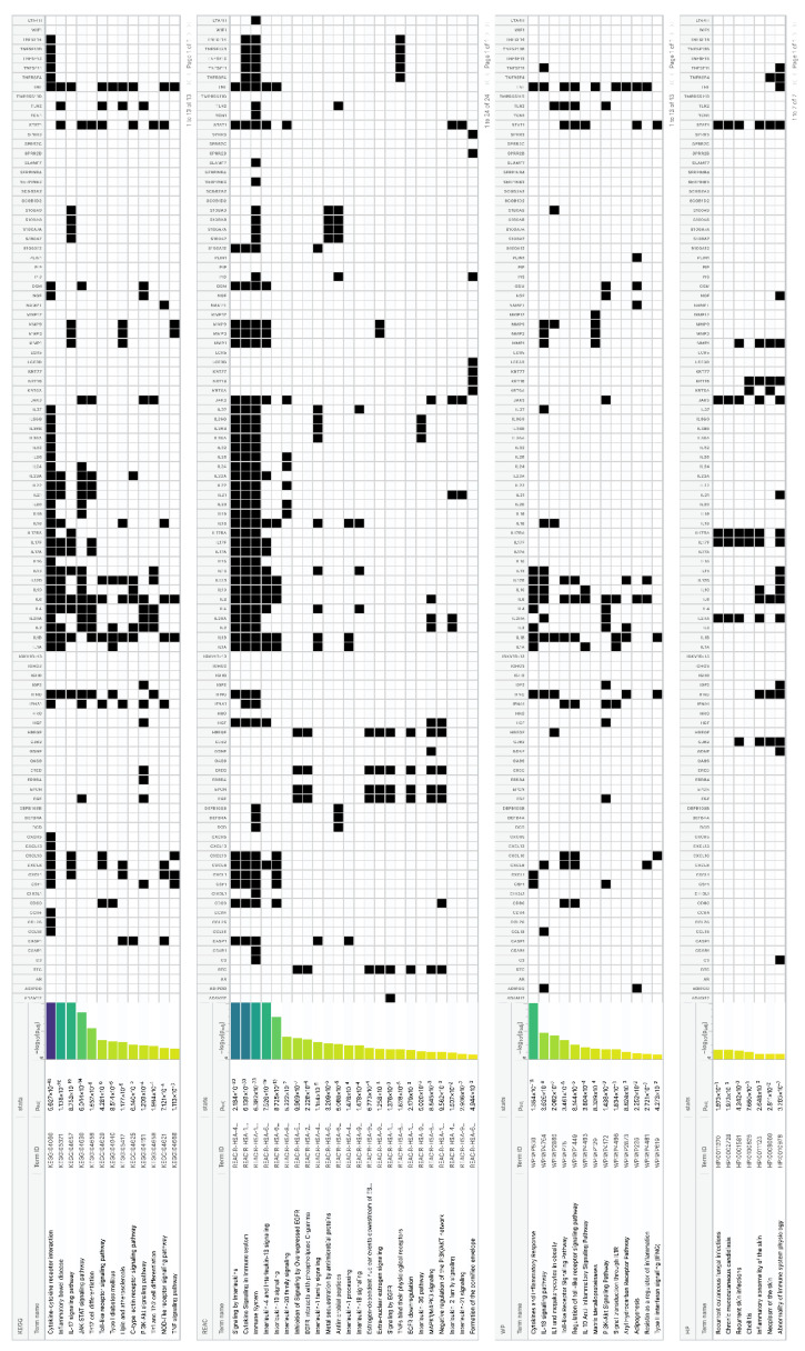 Figure 5