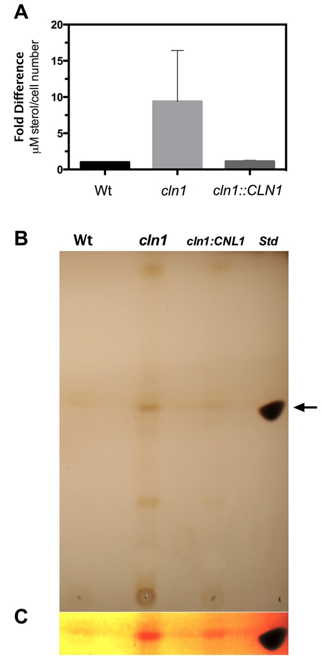 FIG 5 