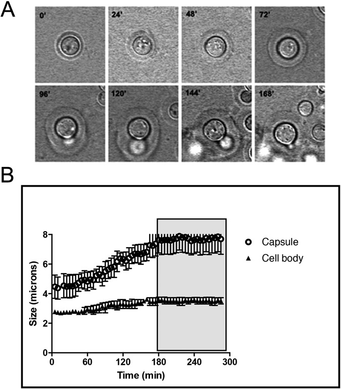 FIG 3 