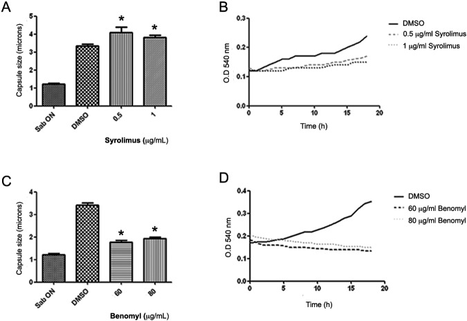 FIG 2 