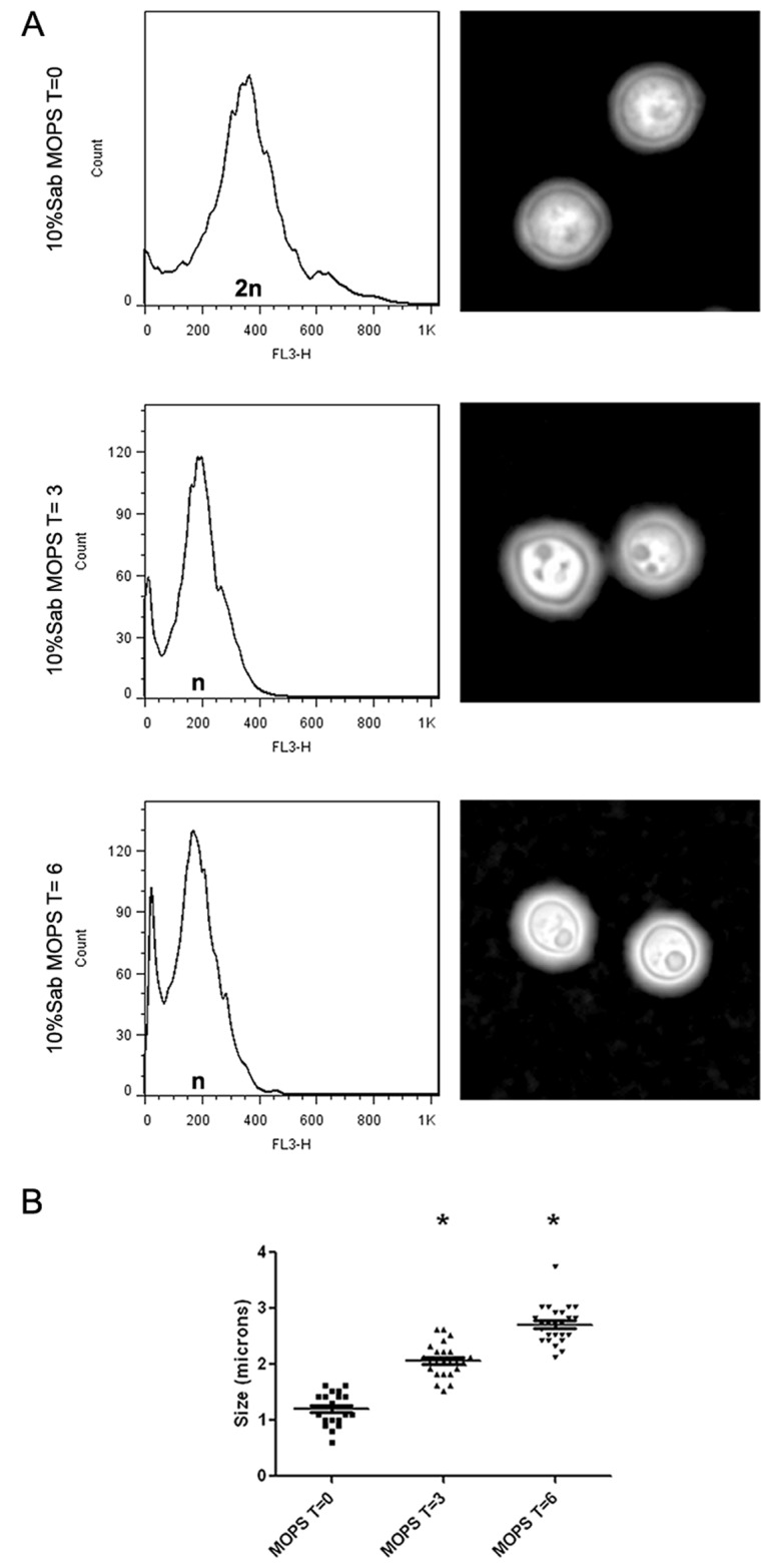 FIG 1 