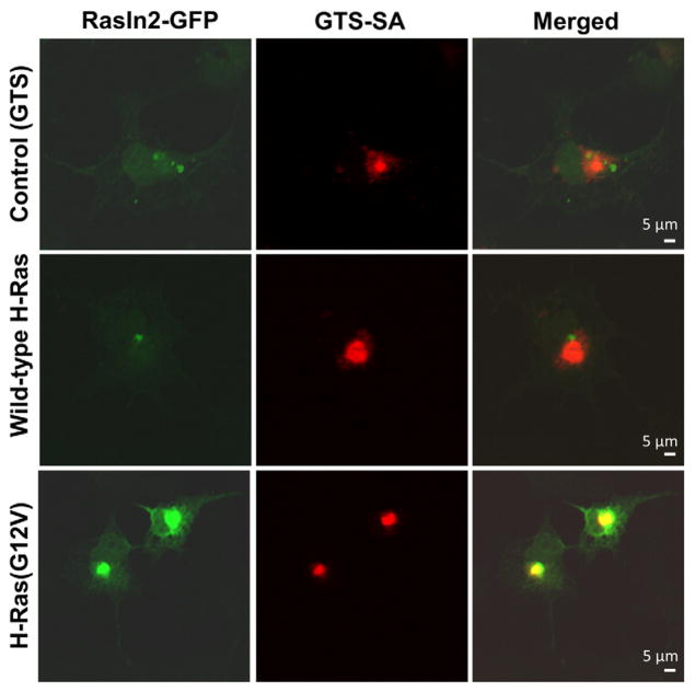 Fig. 4