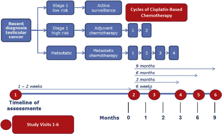 Figure 1