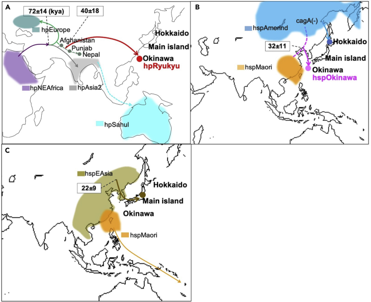 Figure 3