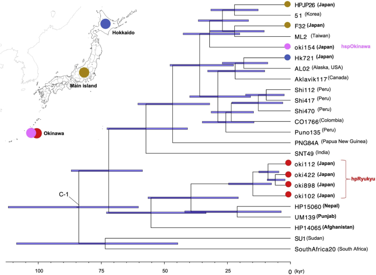 Figure 2