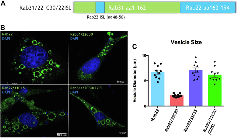 Figure 6
