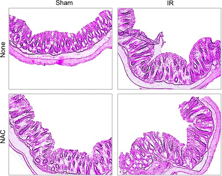 Fig. 5.