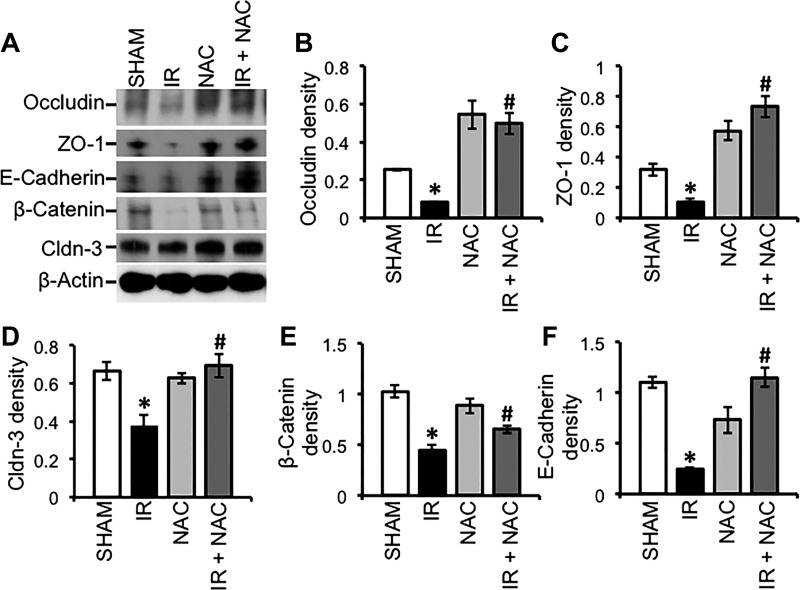 Fig. 9.