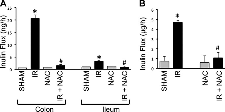 Fig. 10.