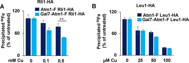 FIG 6 