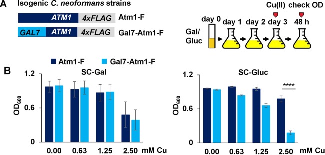 FIG 3 