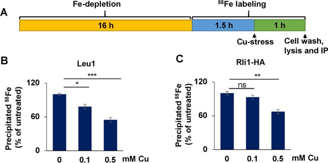 FIG 4 