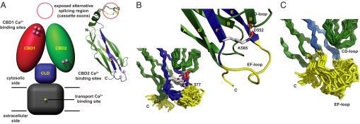 Fig. 1.