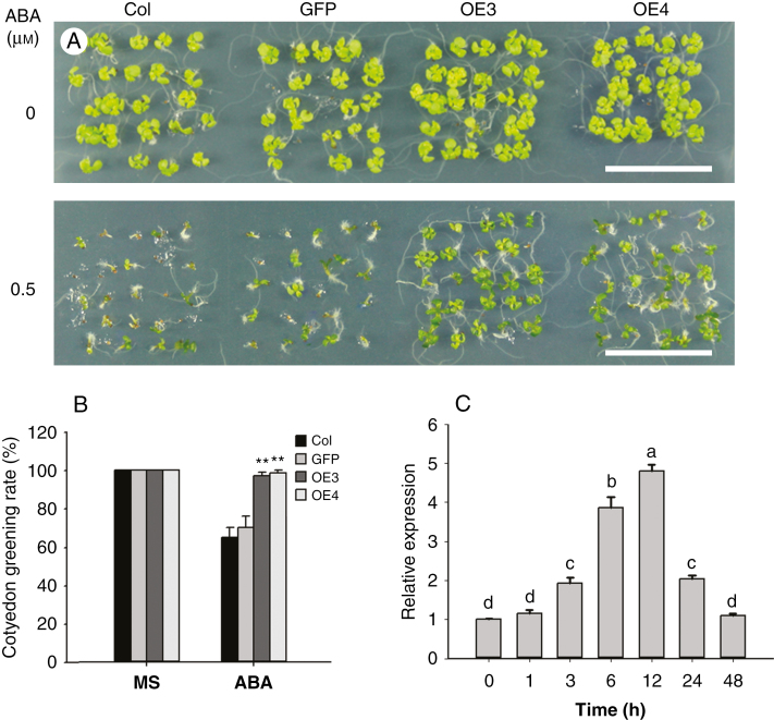 Fig. 3.