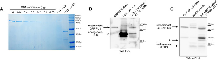 Figure EV3