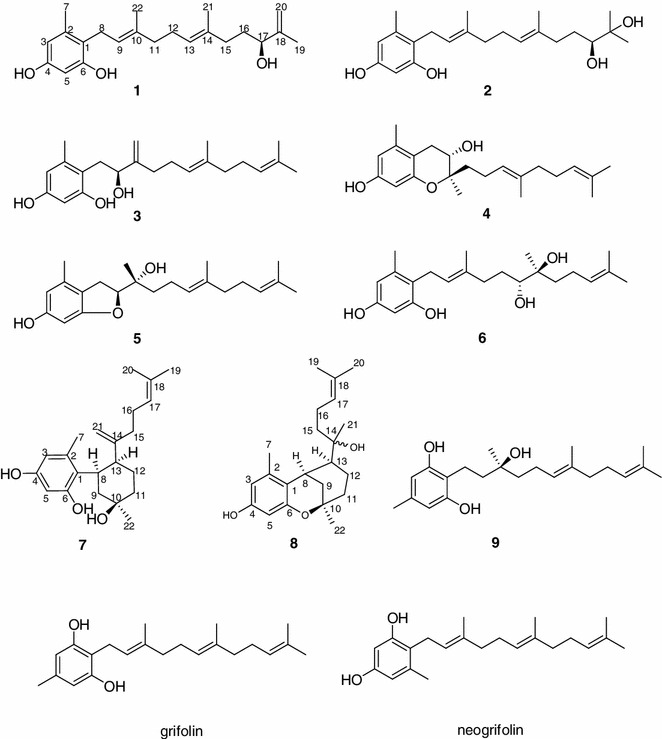 Fig. 1