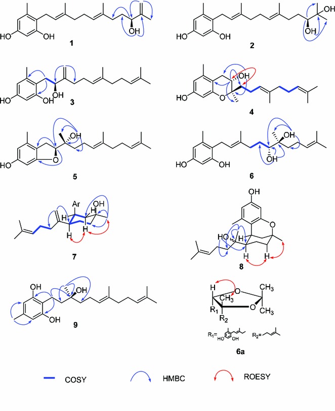 Fig. 2