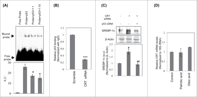 Figure 5.