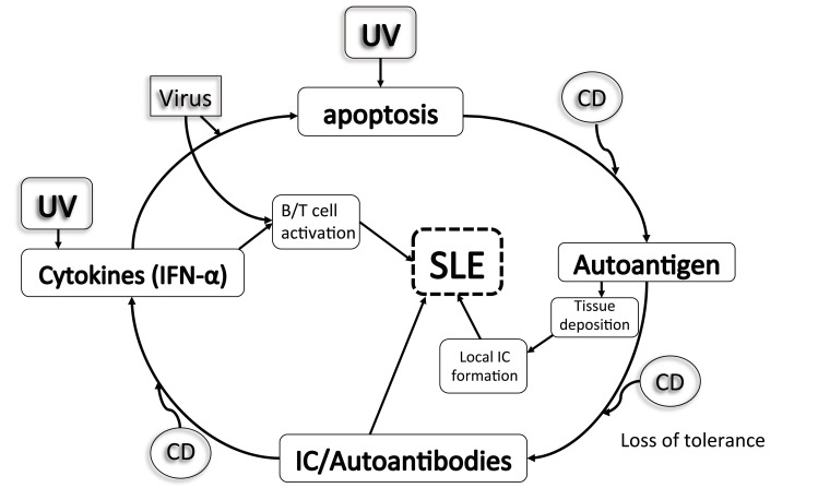 Fig. (1)