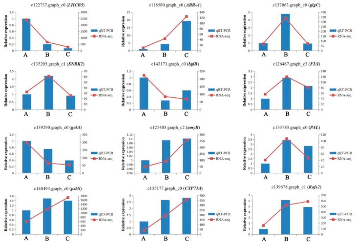 Figure 7