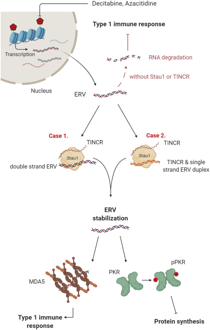 Fig. 7.