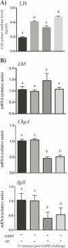 Figure 5.