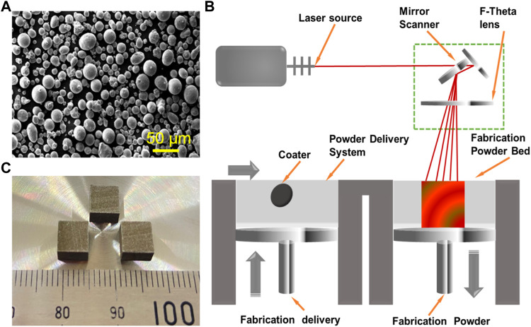 FIGURE 1