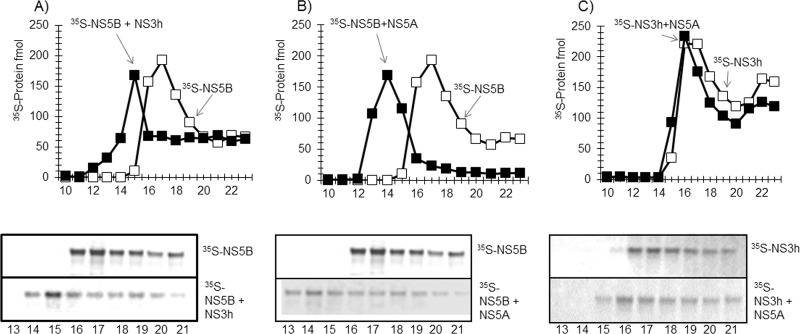 FIG 10