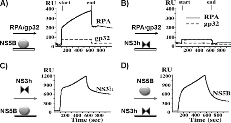 FIG 6