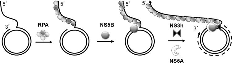 FIG 12