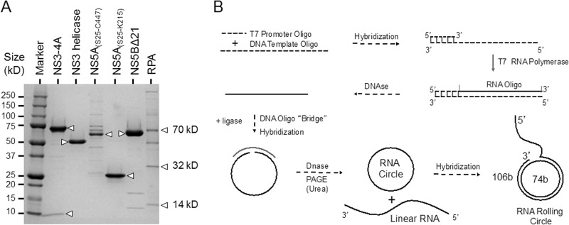 FIG 1