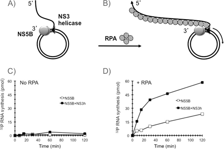 FIG 2