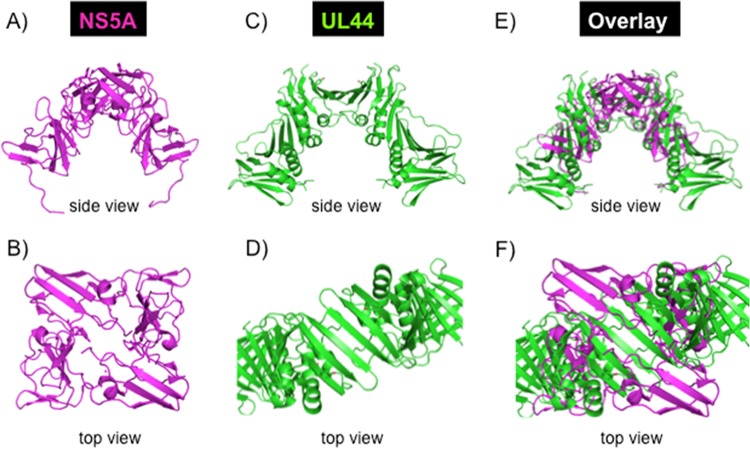 FIG 11