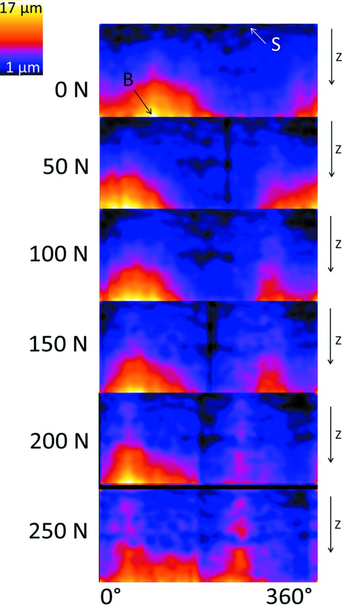 Figure 6