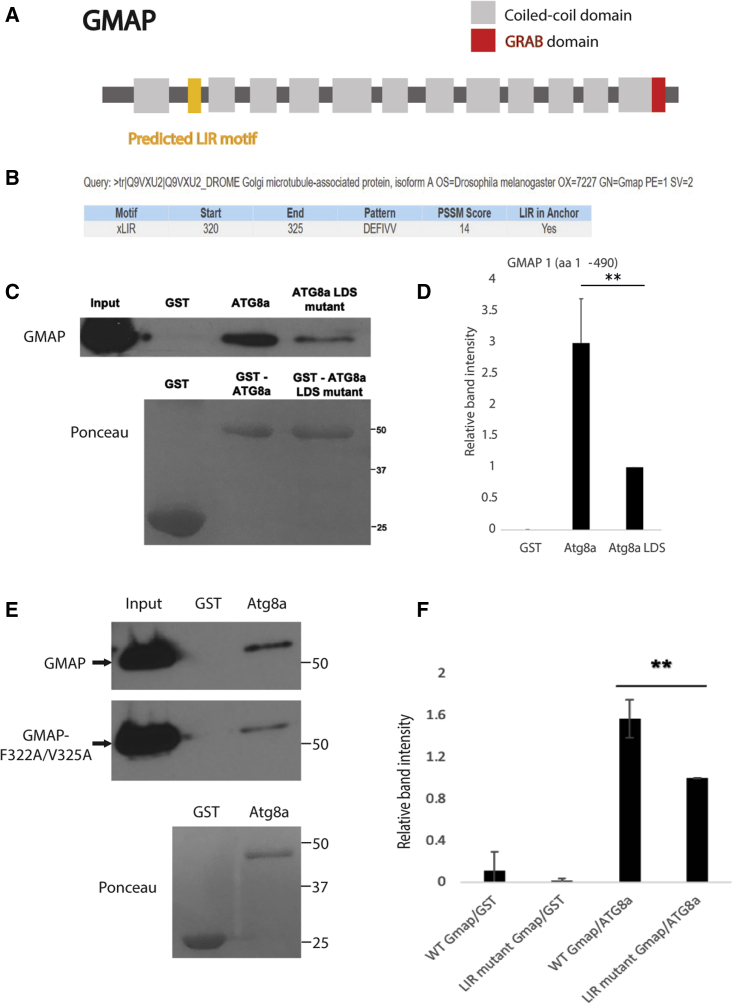 Figure 4