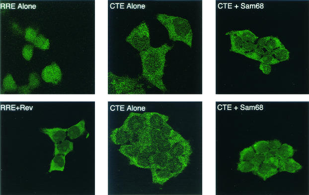 FIG. 7.