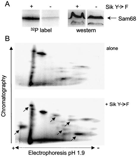 FIG. 5.